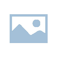 皮革丝绒多重优势，构建耐用环保新屏障